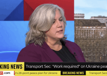 Heidi Alexander Cannot Say If Trump Consulted UK on Ukraine Deal