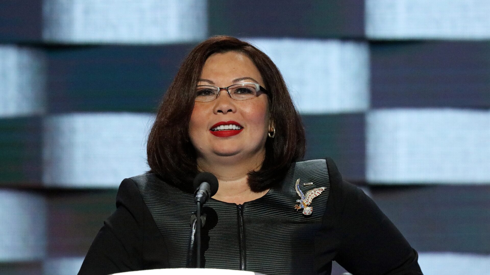 Illinois Dem Senator Ousts Staffer After ICE Catches False Lawyer Scheme to Release Illegal Alien [WATCH]