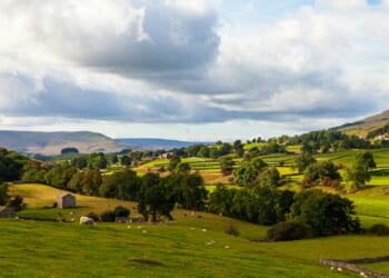 Josh Moreton: How Conservatives can keep Reform at bay in the countryside