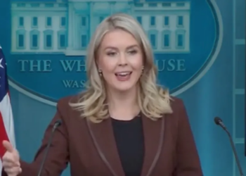 Karoline Leavitt Accuses Democrats Of Shutting Government Down To Fix Healthcare Mess They ‘Created’