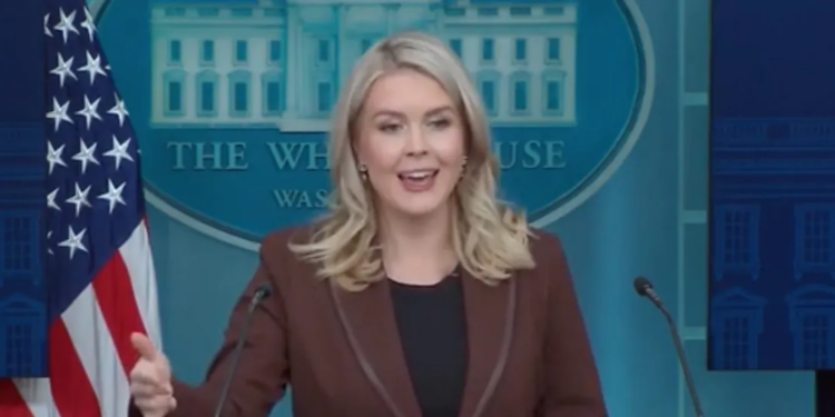 Karoline Leavitt Accuses Democrats Of Shutting Government Down To Fix Healthcare Mess They ‘Created’