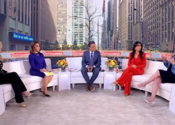 Kayleigh McEnany, Marie Harf Have Verbal Brawl Over Election Night Results