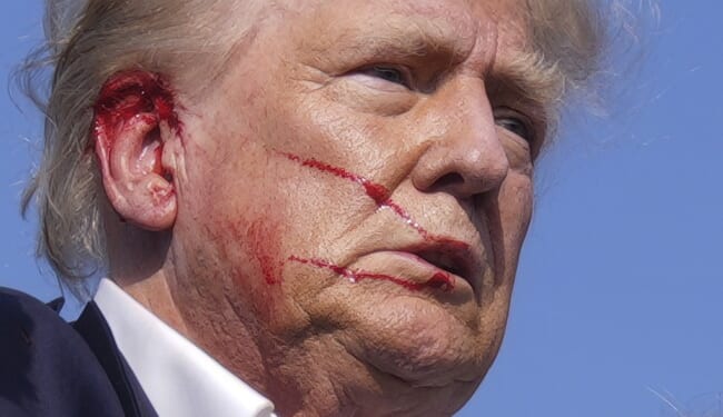 Leftist Protester Drags Dead Effigies of Trump and Immigration Enforcement Agents in D.C. March – Twitchy