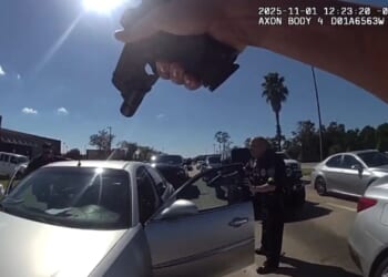 Louisiana Mom Helps Police Catch Suspect, Gets Citizenship Award [WATCH]