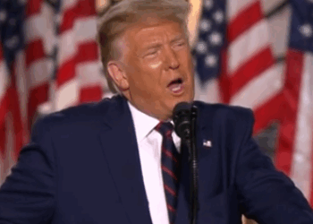 Malcolm Cupis: Trump has vindicated my view that the BBC is biased and belligerent