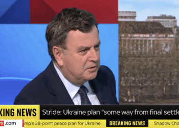 Mel Stride: Reeves Is in a Doom Loop