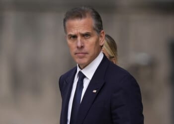 Miranda Devine Points to Hunter Biden's Personal Attack As Proof Her Reporting Has Been Spot On – Twitchy