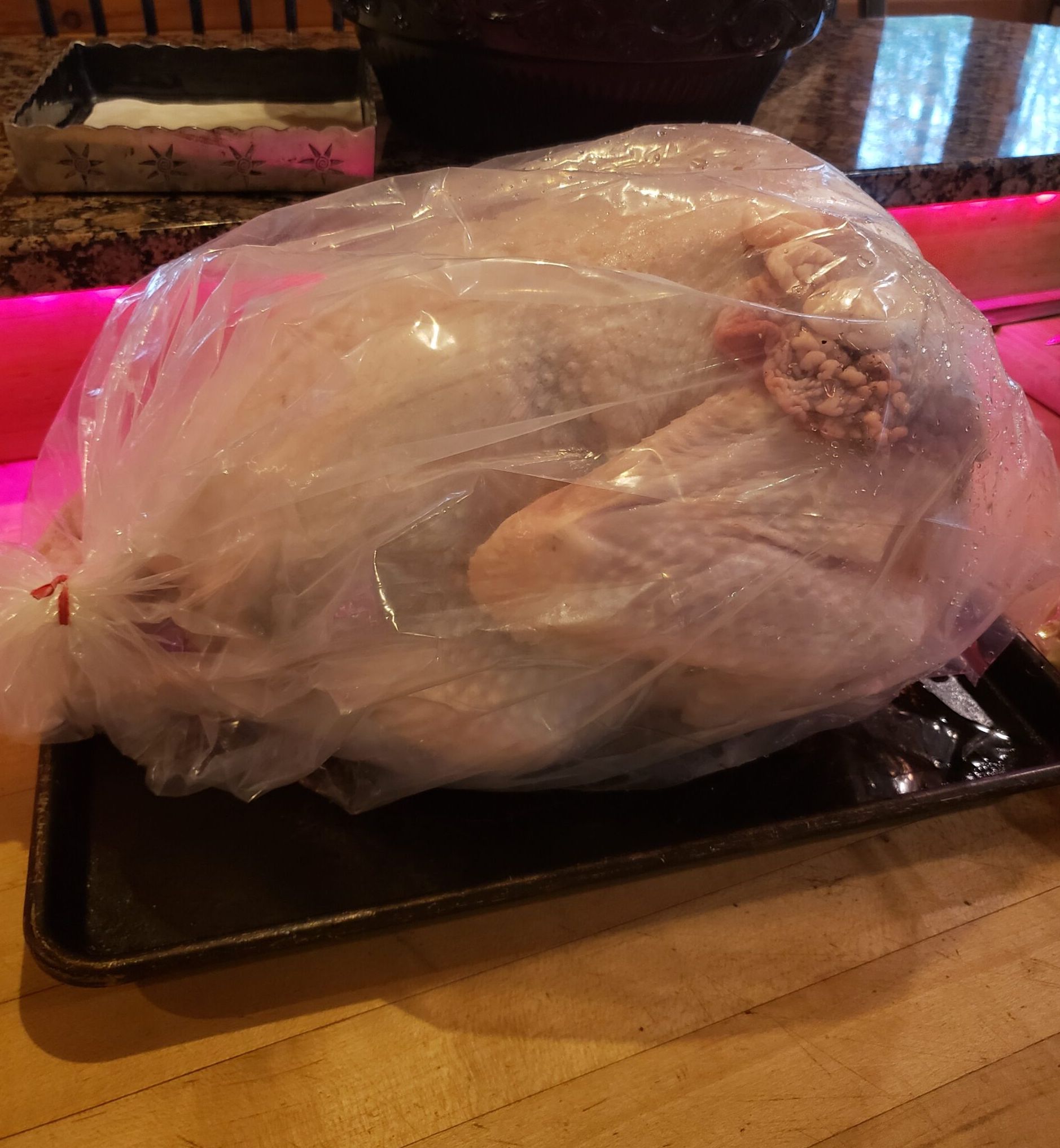 Paul’s turkey — thawing on the kitchen counter and ready for broiling (Paul Kengor/American Spectator)