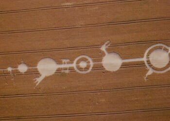 Mysterious ‘Crop Doodle’ Spotted In Argentine Wheat Field