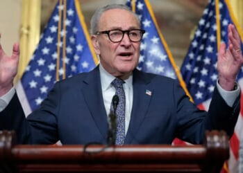 NEWT GINGRICH: Chuck Schumer’s Shutdown Strategy