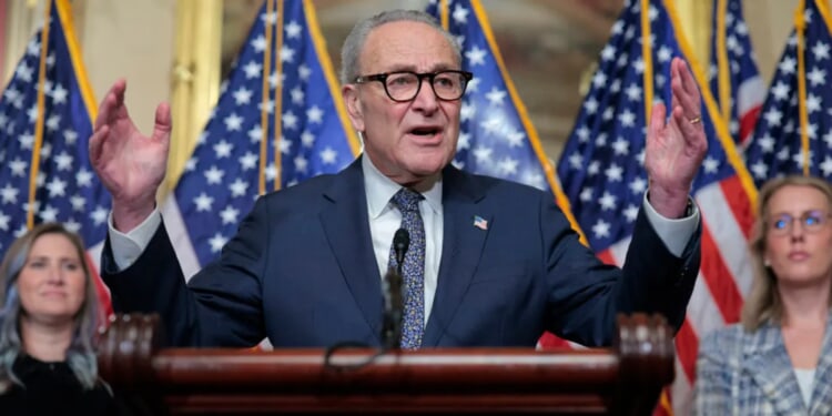 NEWT GINGRICH: Chuck Schumer’s Shutdown Strategy