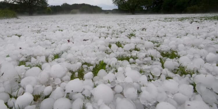Over 20 Million In Tennessee, Ohio Valleys Face Threat Of Severe Weather As Cold Front Moves In