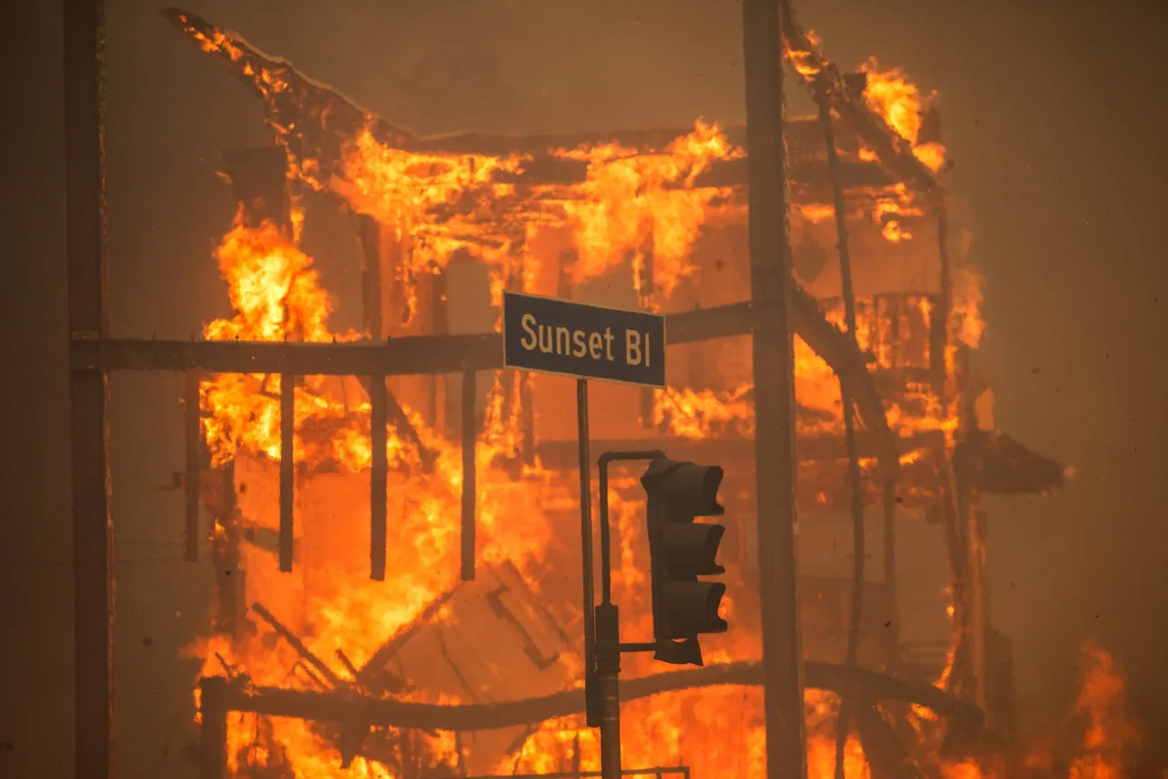 Flames from the Palisades Fire burn a building on Sunset Boulevard. (Photo by Apu Gomes/Getty Images)