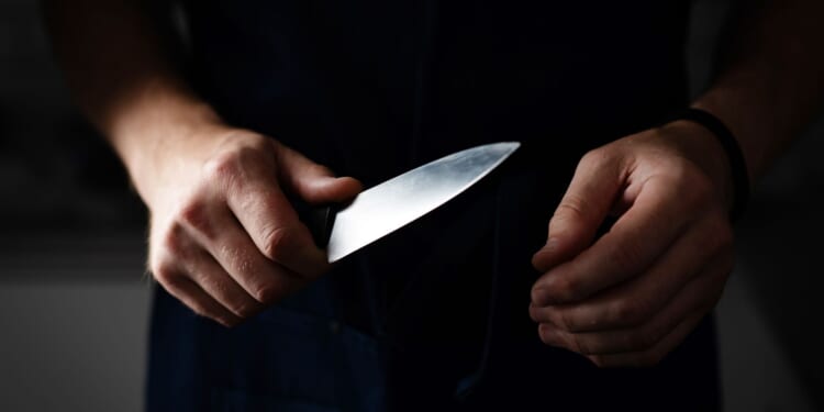 Passenger Hailed as Hero After Blocking Knife Attack on UK Train with His Head [WATCH]