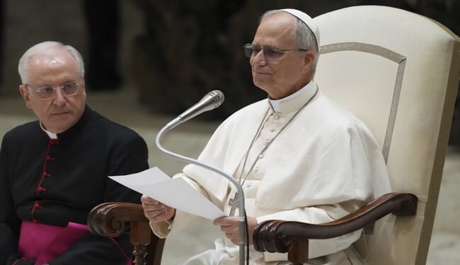 Pope Leo XIV’s Quiet Act of Defiance at the Blue Mosque – Twitchy