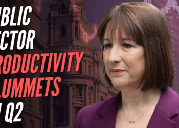 Public Sector Productivity Plunges at Fastest Rate in Three Years – Guido Fawkes