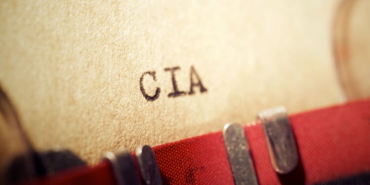 Rogers Says Democrats Trying to 'Start a Color Revolution' [WATCH]