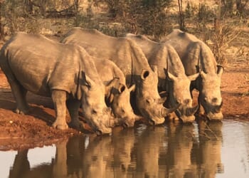 Scott Jennings Tells Establishment Republicans to 'F All the Way Off' [WATCH]