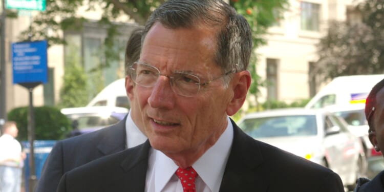 Senate Majority Whip Calls Out Dems 'Politics of Pain' Strategy to Undermine Trump [WATCH]