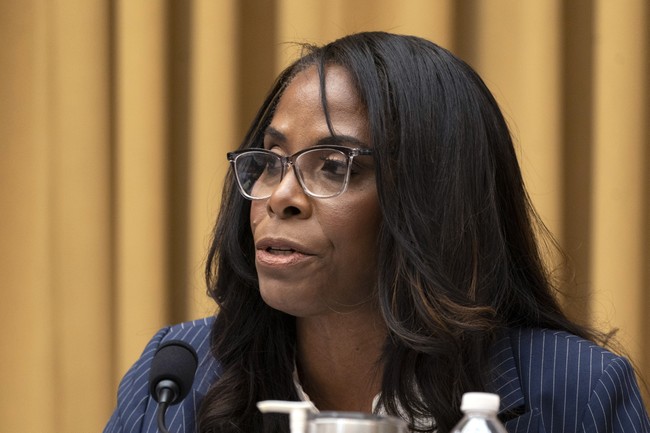 Stacey Plaskett Talks About the Text She Received From Her Constituent, Jeffrey Epstein – Twitchy