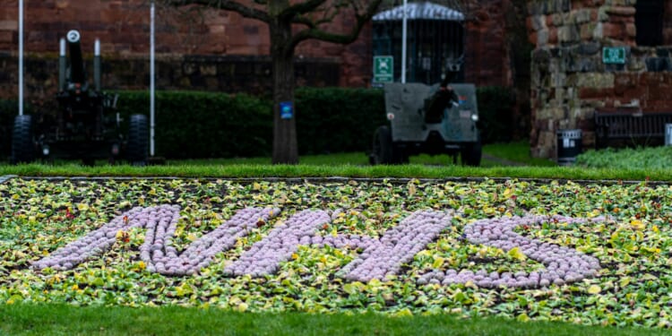 Stuart Andrew: With the NHS this Government is standing up for the unions not patients