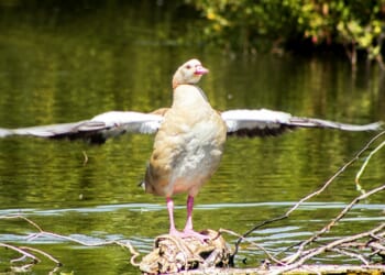 Teresa O'Neill: I'm proud of what we have achieved for Bexley