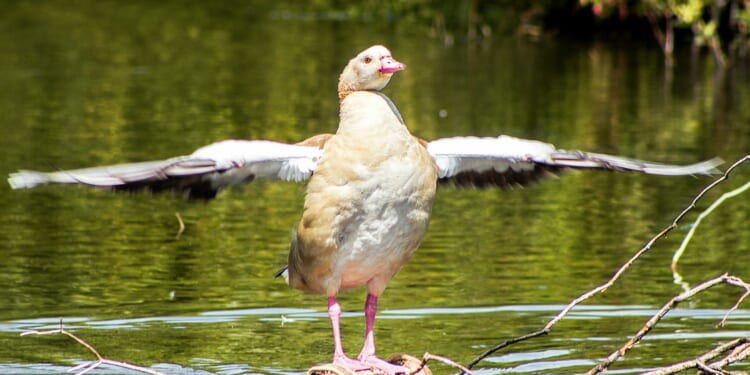 Teresa O'Neill: I'm proud of what we have achieved for Bexley