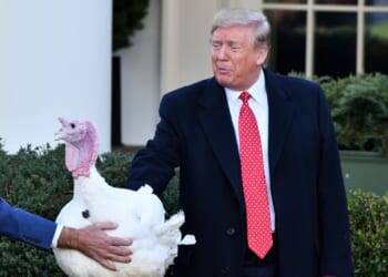 Thanksgiving Costs Lowest in 4 Years Despite 'Experts' Predictions [WATCH]