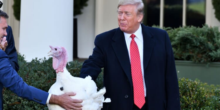 Thanksgiving Costs Lowest in 4 Years Despite 'Experts' Predictions [WATCH]