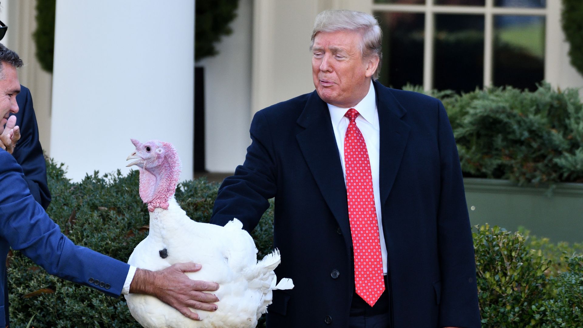 Thanksgiving Costs Lowest in 4 Years Despite 'Experts' Predictions [WATCH]