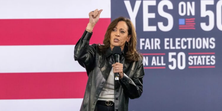 The Balkanization Of Democratic Party: Did Inclusivity Lead To Everyone Eating Their Own?