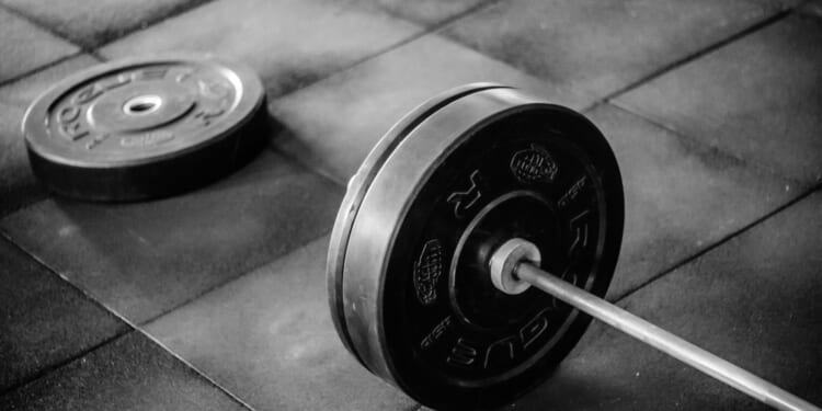 The Discipline Dividend: How Conservatives Defend What Liberals Dismantle | The American Spectator