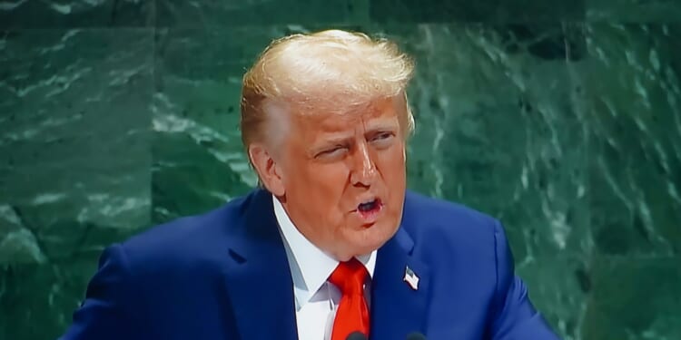 The Ignoble, Ignorable UN | The American Spectator