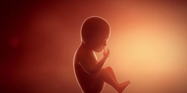 The Spectator P.M. Ep. 169: Tech Bros Aim to Genetically Modify the ‘Perfect’ Baby | The American Spectator