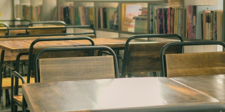 Timeless Education in an AI World | The American Spectator