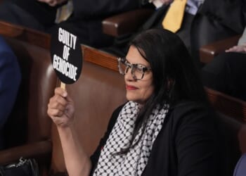 Tlaib Boasts Hamas Supporters Are Taking Over America – Twitchy