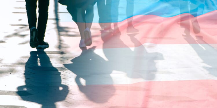 Transgender Teacher in Virginia Under Fire for Gun Meme Online