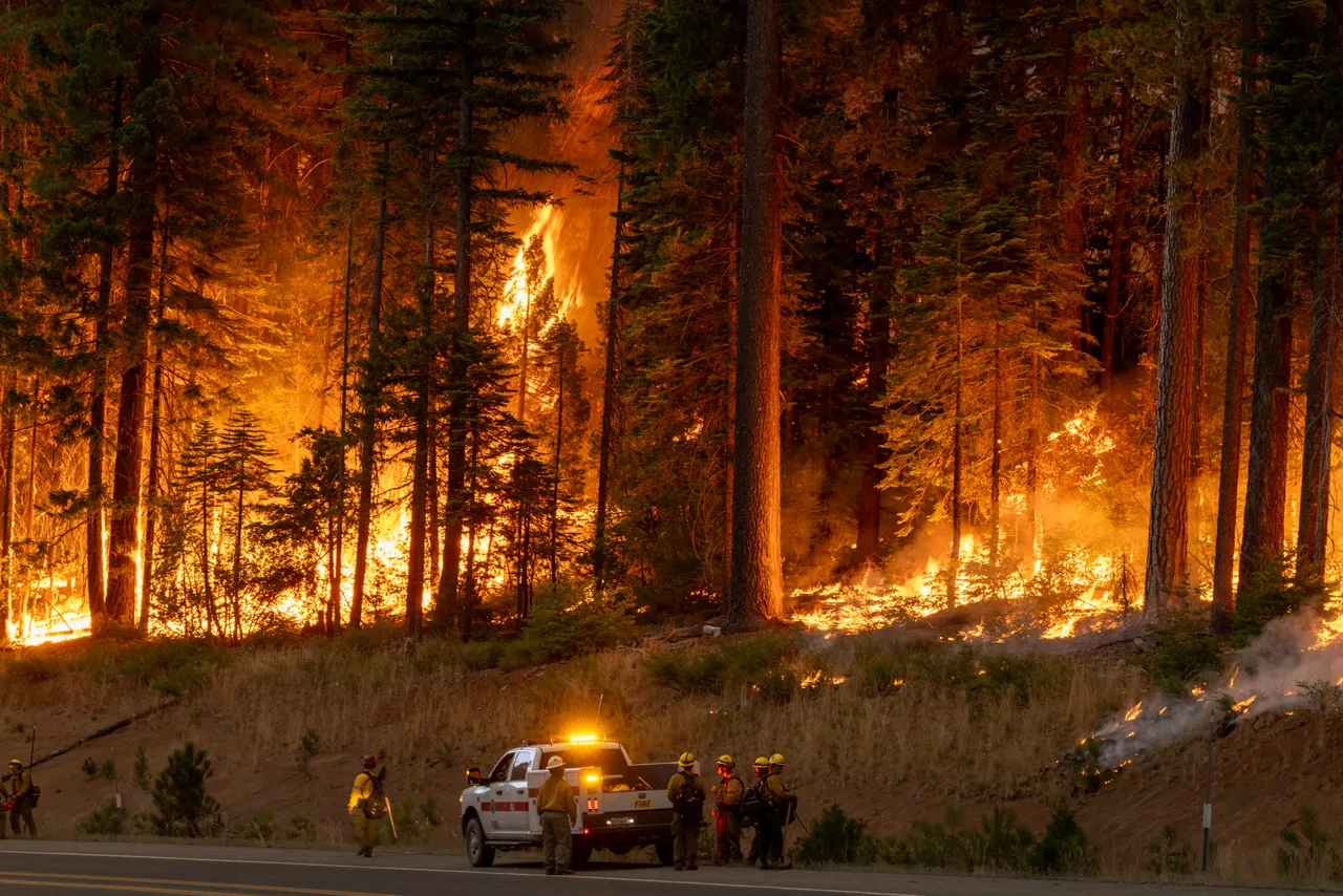 Flames quickly grow as firefighters set a backfire on the eastern front of the Park Fire, which has grown to 360,141 acres and is 12 percent contained, on July 28, 2024 near Chico, California. (Photo by David McNew/Getty Images)