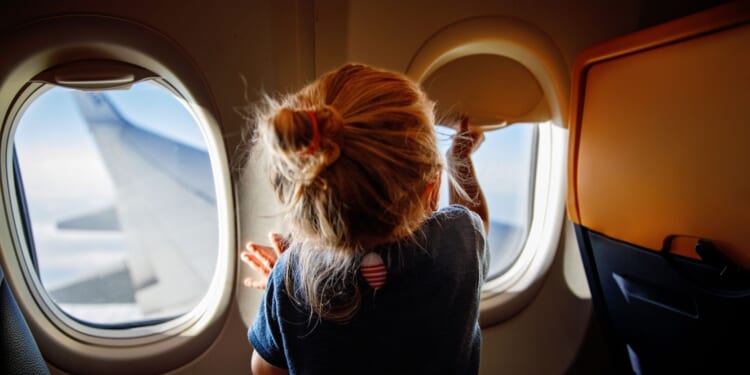 Viral Airplane Fight Over Window Shade Splits the Internet [WATCH]