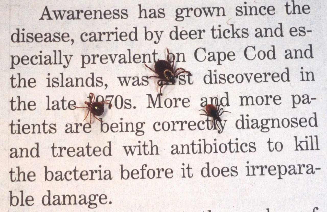 390650 06: A Close Up Of An Adult Female Deer Tick, Dog Tick, And A Lone Star Tick Are Shown June 15, 2001 On Book Print. Ticks Cause An Acute Inflammatory Disease Characterized By Skin Changes, Joint Inflammation, And Flu-Like Symptoms Called Lyme Disease. (Photo By Getty Images)