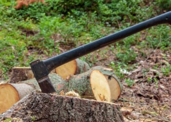 ‘Golden Bachelor’ Star Accused of Making Disturbing Comment to His Ex-Wife [WATCH]