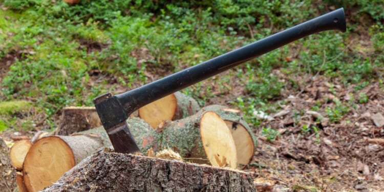 ‘Golden Bachelor’ Star Accused of Making Disturbing Comment to His Ex-Wife [WATCH]