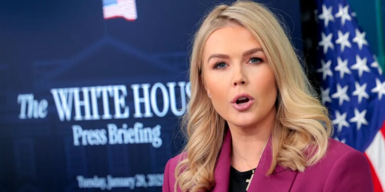 ‘Stop Tweeting At Me And Do Your Job’: Leavitt Puts Newsom On Notice For Election Integrity Problems