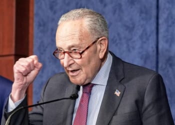‘Stunned’ Chuck Schumer Feigns Outrage After Dems Side With Republicans (WATCH) – Twitchy