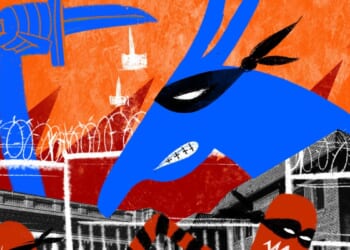 Democrats' crime policies are suicidal