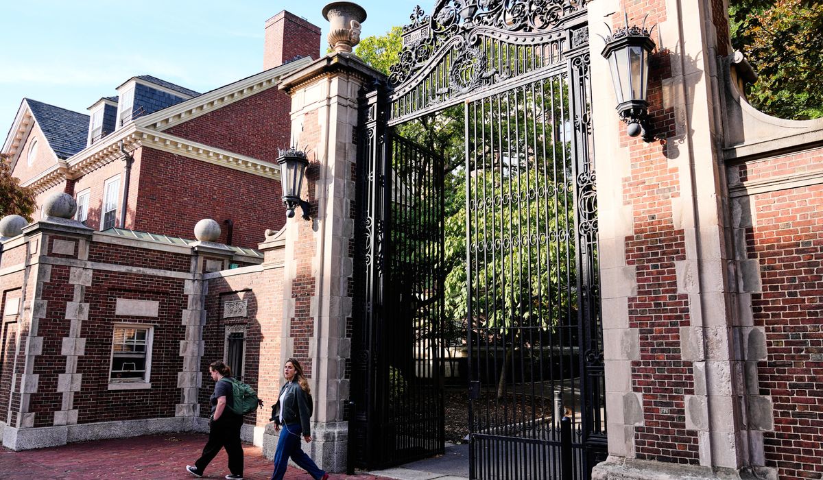 Immigration officers arrest Harvard professor who fired BB gun outside synagogue