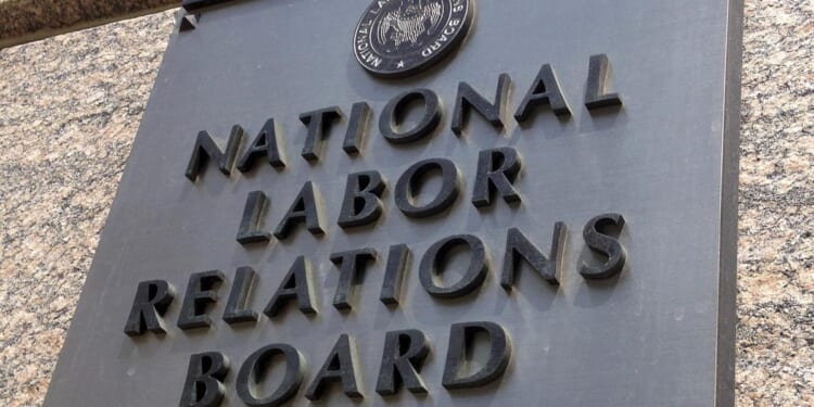 Donald Trump can fire labor, federal personnel board members, appeals court rules