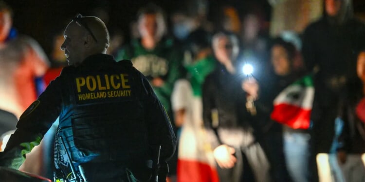 Less Than One Year Out From Midterms, Some Democrats Embrace ‘Abolish ICE’ Movement