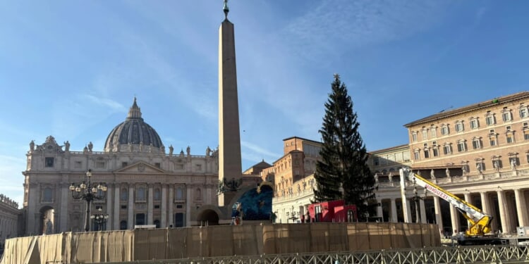 Vatican to unveil Nativity scene, light up Christmas tree in St. Peter’s Square on Dec. 15