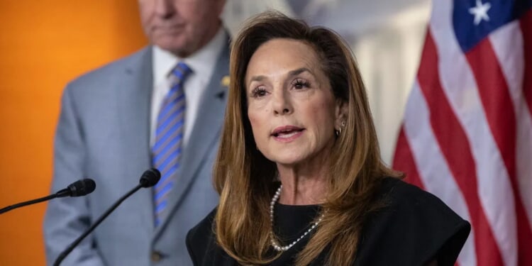 EXCLUSIVE: Joe Biden To Blame For Current Affordability Crisis, Lisa McClain Says